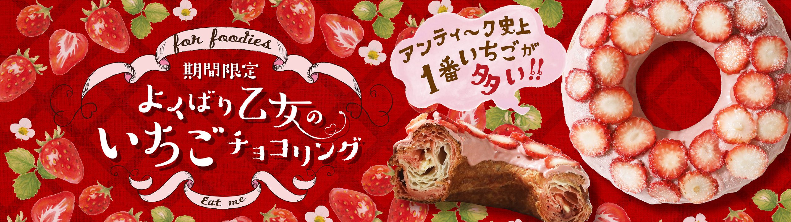 【4/1新発売！アンティーク史上最大量のいちごを使用！】春限定「よくばり乙女のいちごチョコリング」が登場🍓